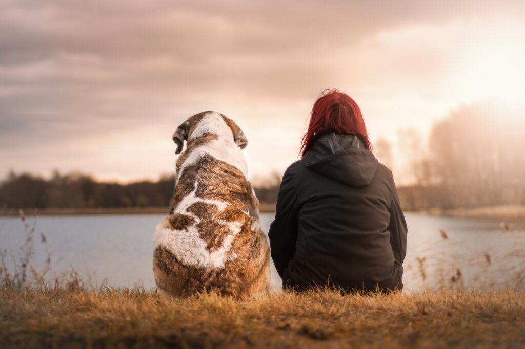 Quels sont les différentes options de garde d'animaux et comment faire le bon choix ?