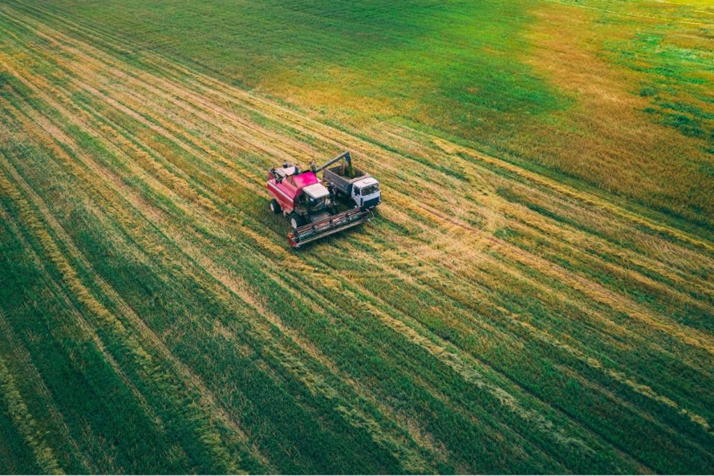 L'agriculture écologique : Cultiver en harmonie avec les écosystèmes naturels